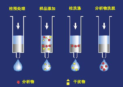 5d4ce32794c45.png 2.png